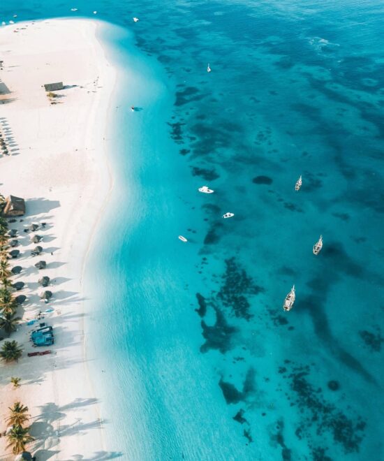 8 Days Tanzania Safari & Zanzibar Beach Escape