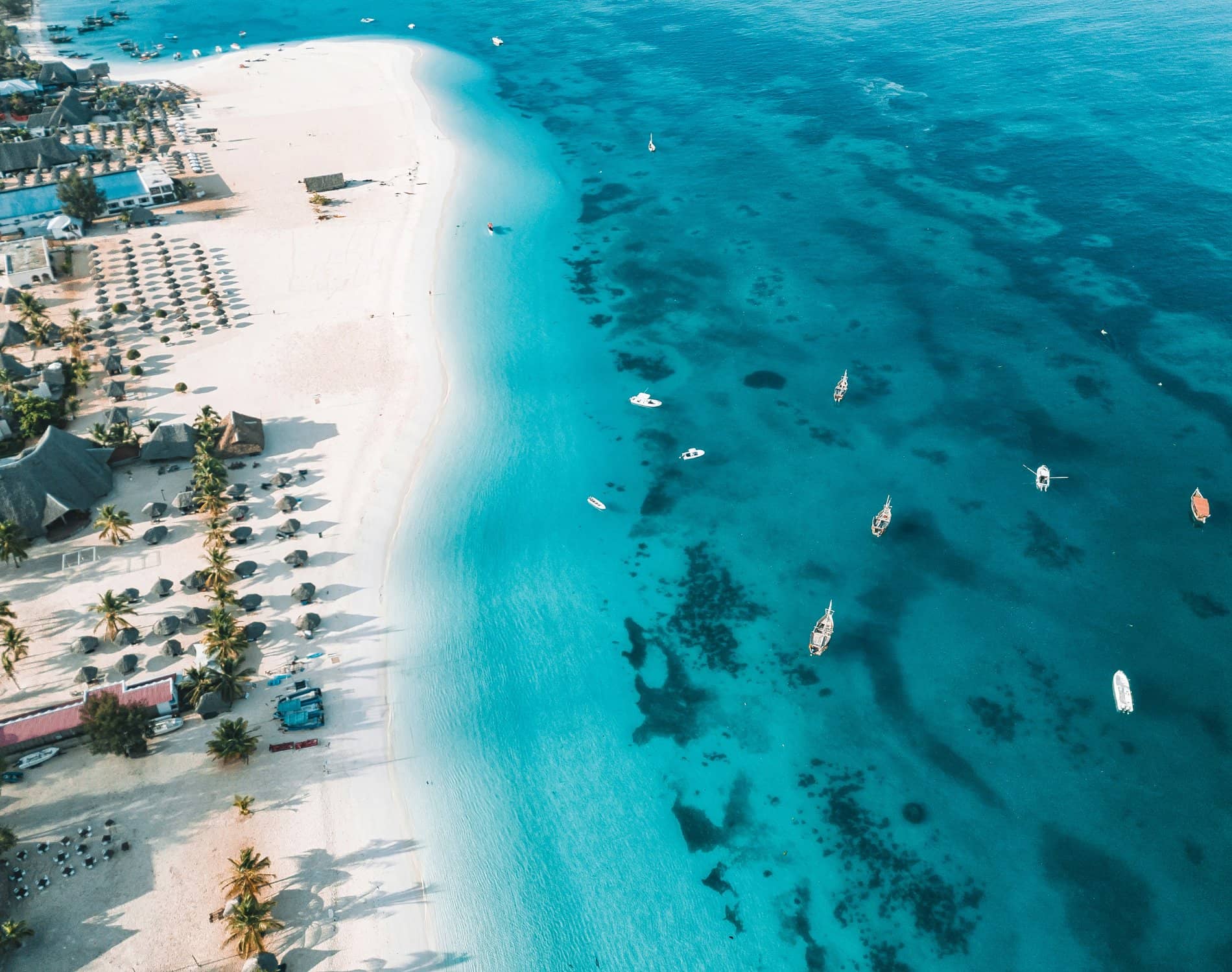 8 Days Tanzania Safari & Zanzibar Beach Escape