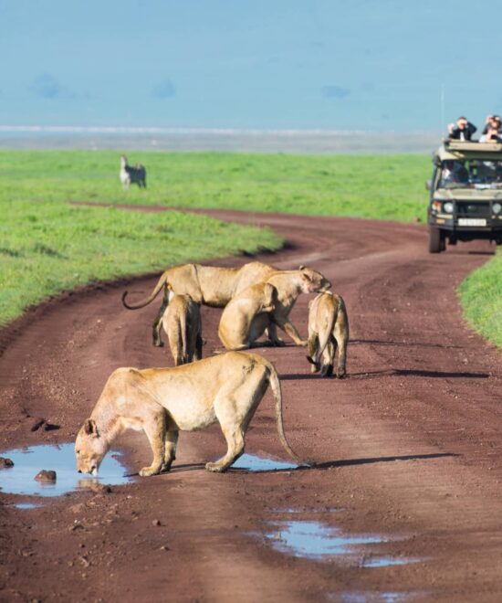 7 Days Tanzania Northern Circuit Safari