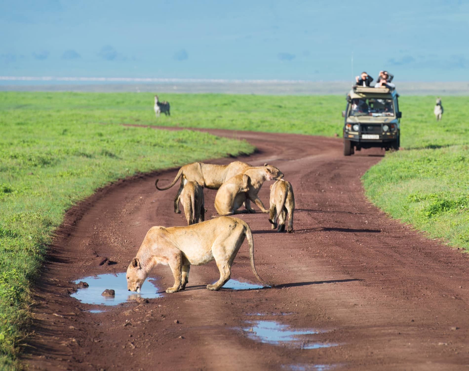 7 Days Tanzania Northern Circuit Safari