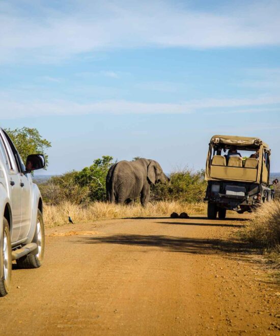 5 Days Serengeti Safari Adventure