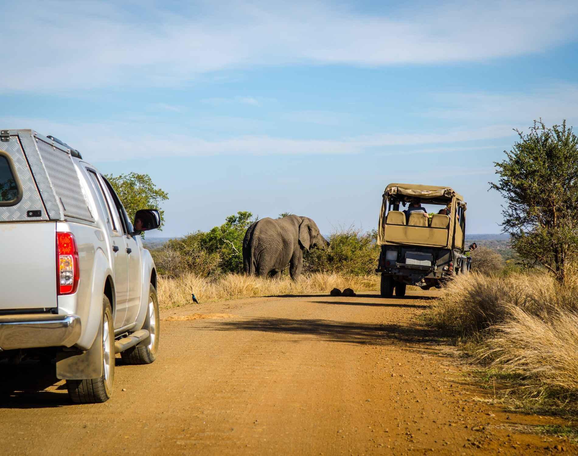 5 Days Serengeti Safari Adventure