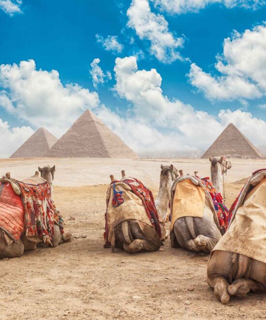 10 Days Egypt Cairo, Nile Cruise & Luxor Discovery